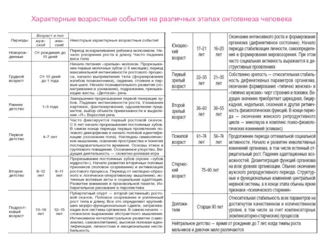 Характерные возрастные события на различных этапах онтогенеза человека