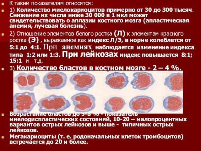 К таким показателям относятся: 1) Количество миелокариоцитов примерно от 30