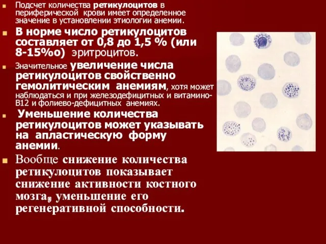 Подсчет количества ретикулоцитов в периферической крови имеет определенное значение в