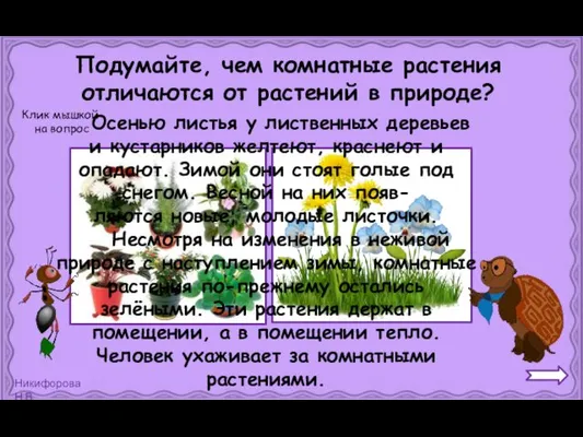 Подумайте, чем комнатные растения отличаются от растений в природе? Осенью