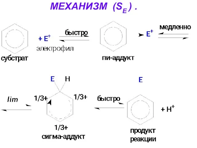 МЕХАНИЗМ (SЕ ) .