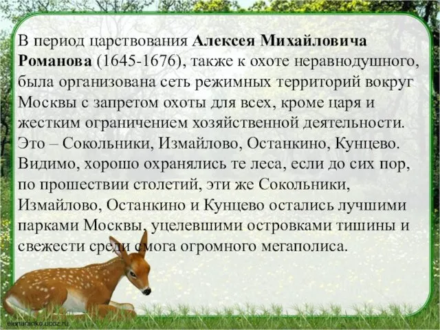 В период царствования Алексея Михайловича Романова (1645-1676), также к охоте неравнодушного, была организована