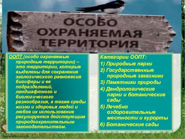 ООПТ (особо охраняемые природные территории) – это территории, которые выделены для сохранения экологического