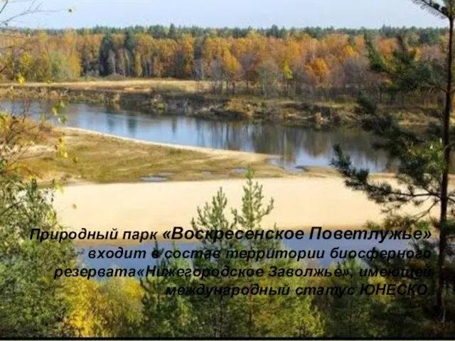 Природный парк «Воскресенское Поветлужье» входит в состав территории биосферного резервата«Нижегородское Заволжье», имеющей международный статус ЮНЕСКО.