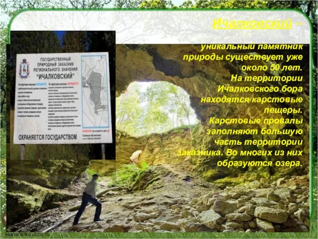 Заказник Ичалковский – уникальный памятник природы существует уже около 50 лет. На территории