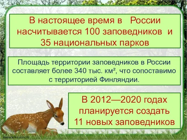 В настоящее время в России насчитывается 100 заповедников и 35 национальных парков В