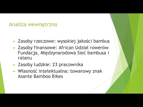 Analiza wewnętrzna Zasoby rzeczowe: wysokiej jakości bambus Zasoby finansowe: African