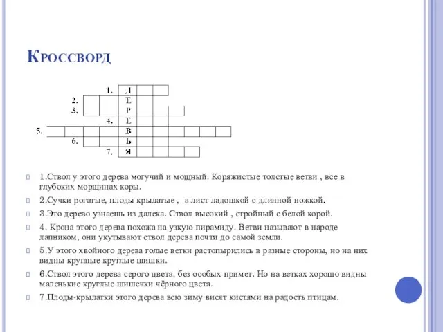 Кроссворд 1.Ствол у этого дерева могучий и мощный. Коряжистые толстые ветви , все