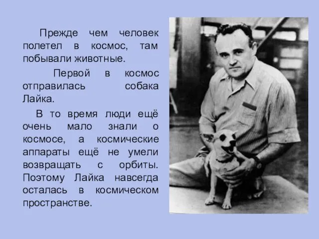 Прежде чем человек полетел в космос, там побывали животные. Первой в космос отправилась