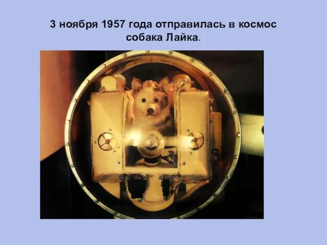 3 ноября 1957 года отправилась в космос собака Лайка.
