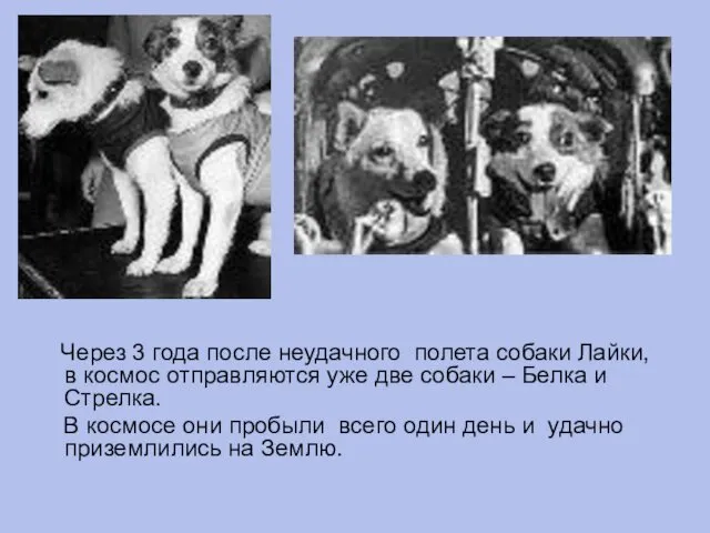 Через 3 года после неудачного полета собаки Лайки, в космос отправляются уже две