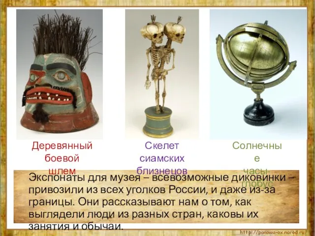 Экспонаты для музея – всевозможные диковинки – привозили из всех уголков России, и