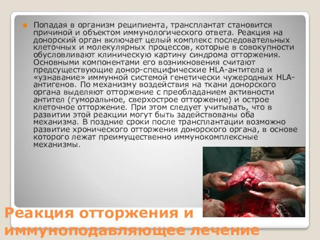 Реакция отторжения и иммуноподавляющее лечение Попадая в организм реципиента, трансплантат