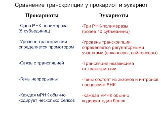 Сравнение транскрипции у прокариот и эукариот Прокариоты Эукариоты -Одна РНК-полимераза