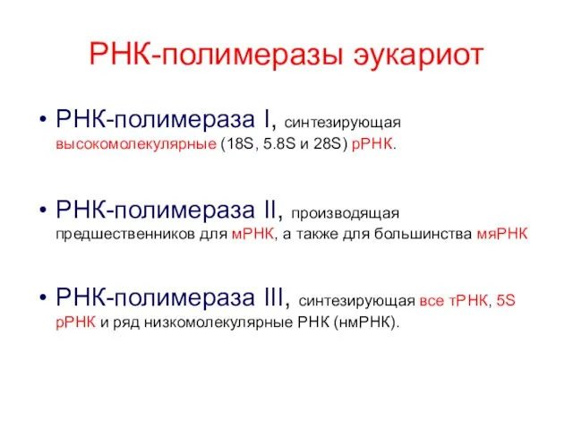 РНК-полимеразы эукариот РНК-полимераза I, синтезирующая высокомолекулярные (18S, 5.8S и 28S)