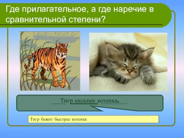 Где прилагательное, а где наречие в сравнительной степени? Тигр сильнее котенка. Тигр бежит быстрее котенка