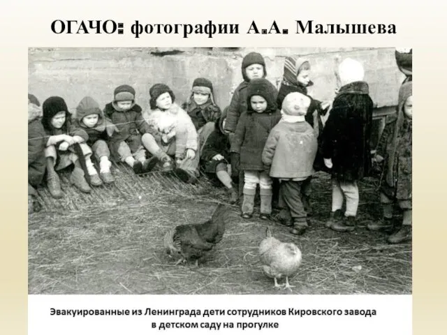 ОГАЧО: фотографии А.А. Малышева