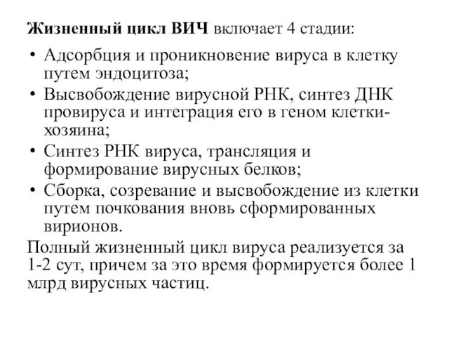 Жизненный цикл ВИЧ включает 4 стадии: Адсорбция и проникновение вируса в клетку путем