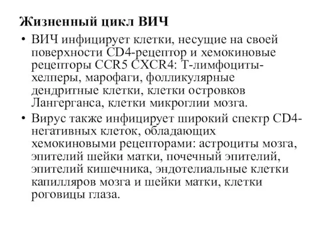 Жизненный цикл ВИЧ ВИЧ инфицирует клетки, несущие на своей поверхности CD4-рецептор и хемокиновые