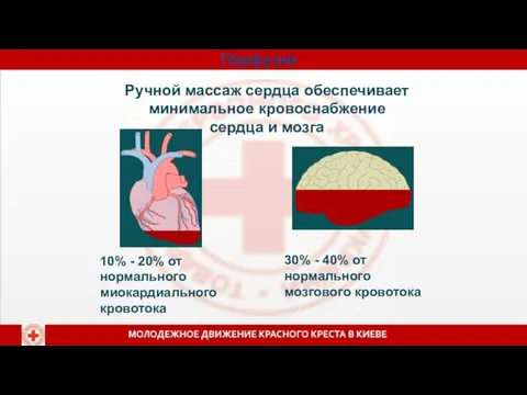 Перфузия Ручной массаж сердца обеспечивает минимальное кровоснабжение сердца и мозга