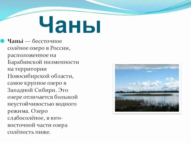 Чаны Чаны́ — бессточное солёное озеро в России, расположенное на