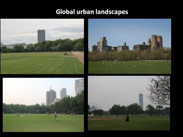 Global urban landscapes