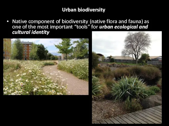 Urban biodiversity Native component of biodiversity (native flora and fauna) as one of
