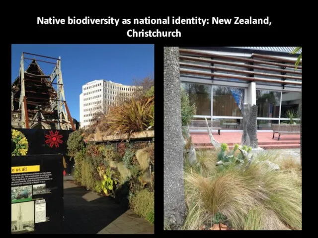 Native biodiversity as national identity: New Zealand, Christchurch