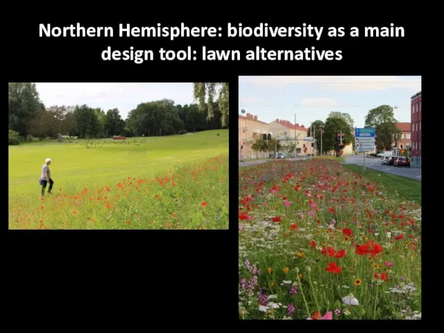 Northern Hemisphere: biodiversity as a main design tool: lawn alternatives