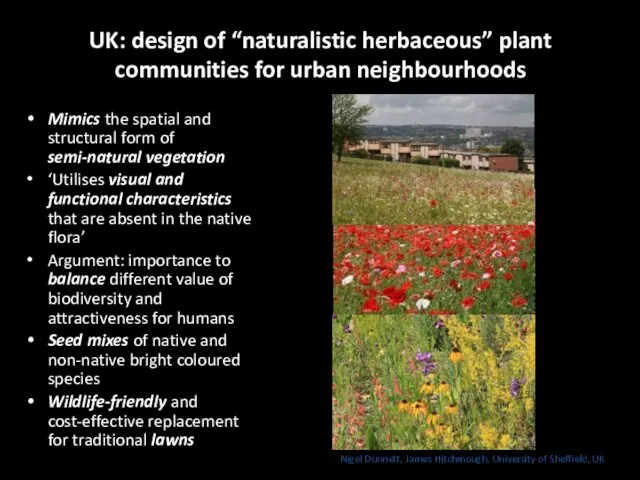 UK: design of “naturalistic herbaceous” plant communities for urban neighbourhoods Mimics the spatial