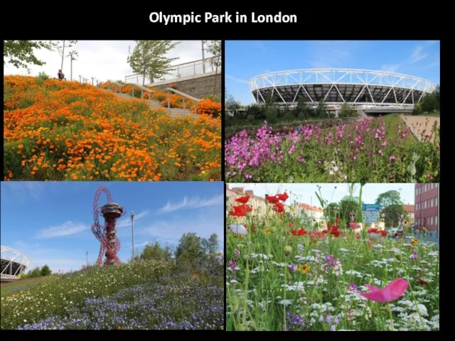 Olympic Park in London