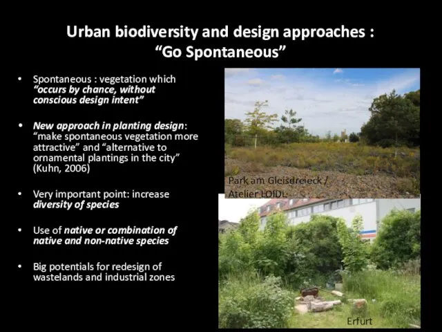 Urban biodiversity and design approaches : “Go Spontaneous” Spontaneous : vegetation which “occurs