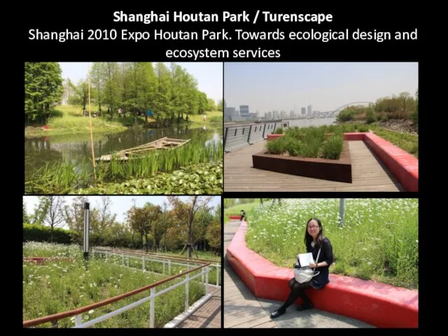 Shanghai Houtan Park / Turenscape Shanghai 2010 Expo Houtan Park. Towards ecological design and ecosystem services