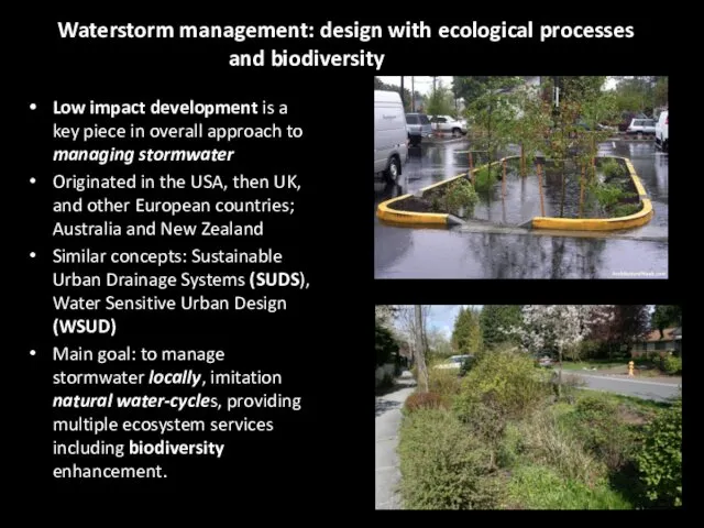 Waterstorm management: design with ecological processes and biodiversity in mind