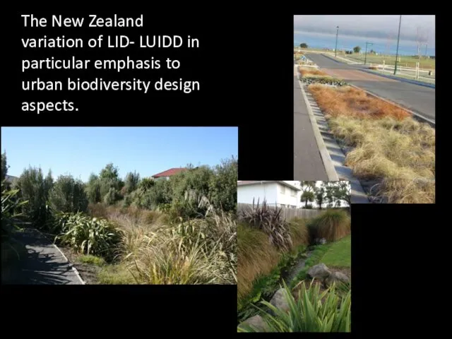 The New Zealand variation of LID- LUIDD in particular emphasis to urban biodiversity design aspects.