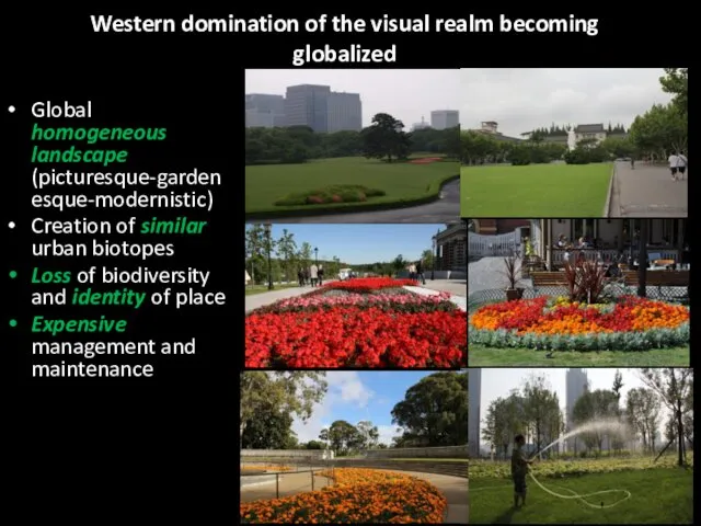 Western domination of the visual realm becoming globalized Global homogeneous landscape (picturesque-gardenesque-modernistic) Creation