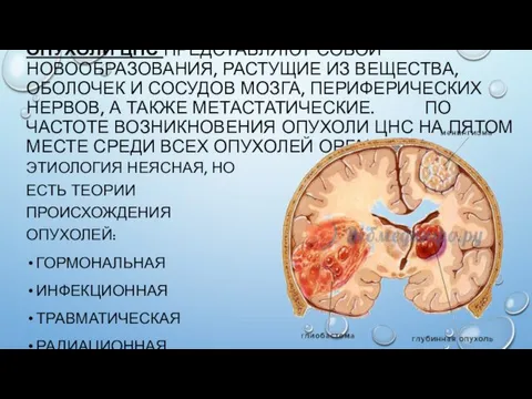 ОПУХОЛИ ЦНС ПРЕДСТАВЛЯЮТ СОБОЙ НОВООБРАЗОВАНИЯ, РАСТУЩИЕ ИЗ ВЕЩЕСТВА, ОБОЛОЧЕК И