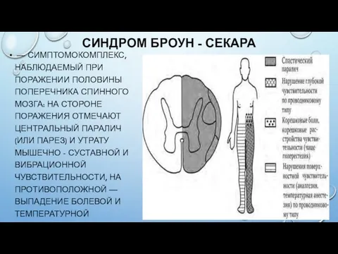 СИНДРОМ БРОУН - СЕКАРА — СИМПТОМОКОМПЛЕКС, НАБЛЮДАЕМЫЙ ПРИ ПОРАЖЕНИИ ПОЛОВИНЫ