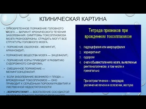 КЛИНИЧЕСКАЯ КАРТИНА ПРИОБРЕТЕННОЕ ПОРАЖЕНИЕ ГОЛОВНОГО МОЗГА — ВАРИАНТ ХРОНИЧЕСКОГО ТЕЧЕНИЯ