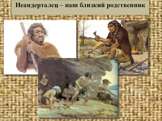 Неандерталец – наш близкий родственник