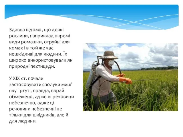 Здавна відомо, що деякі рослини, наприклад окремі види ромашки, отруйні для комах і