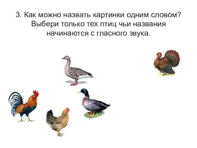 3. Как можно назвать картинки одним словом? Выбери только тех