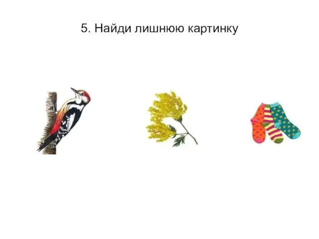 5. Найди лишнюю картинку