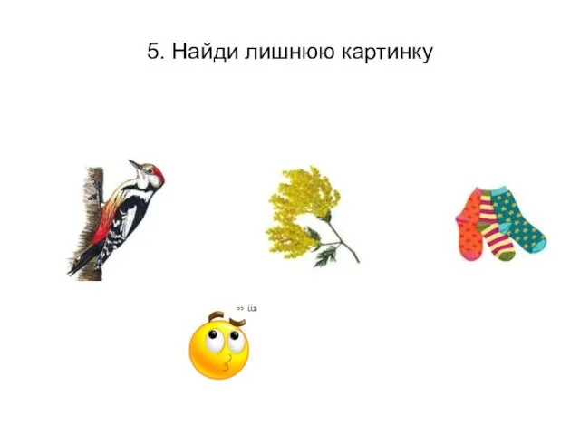 5. Найди лишнюю картинку