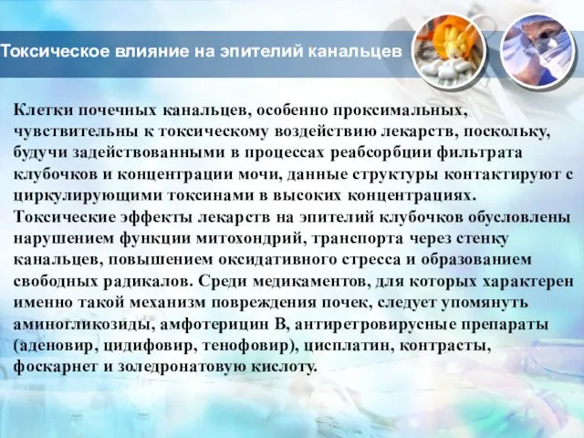 Токсическое влияние на эпителий канальцев Клетки почечных канальцев, особенно проксимальных, чувствительны к токсическому