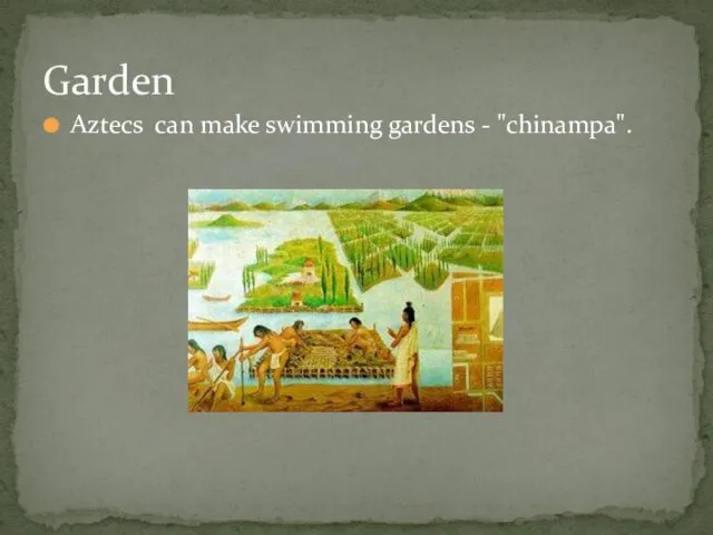 Aztecs can make swimming gardens - "chinampa". Garden