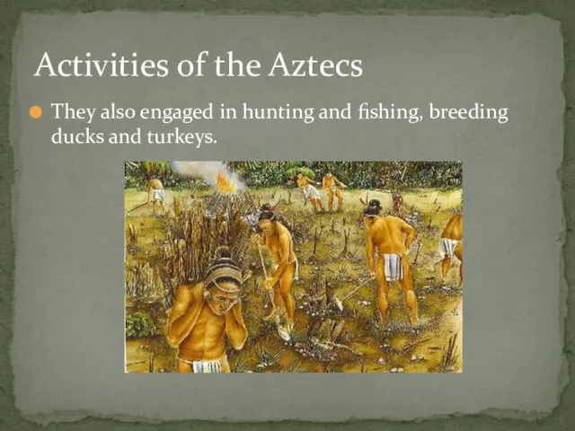They also engaged in hunting and fishing, breeding ducks and turkeys. Activities of the Aztecs