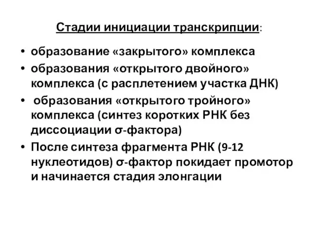 Стадии инициации транскрипции: образование «закрытого» комплекса образования «открытого двойного» комплекса