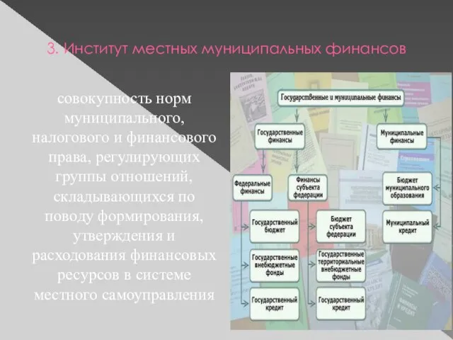 3. Институт местных муниципальных финансов совокупность норм муниципального, налогового и