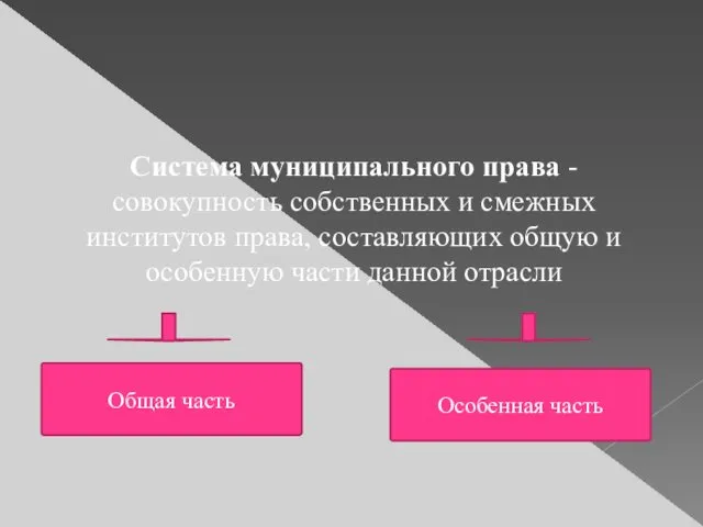 Система муниципального права - совокупность собственных и смежных институтов права,